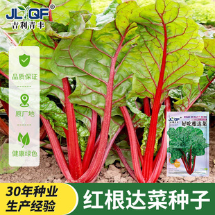 �t���_�˷N�Ӽt��˺�Ƥ�˼t���˷N���̨�����ļ����߮a�߲˷N��