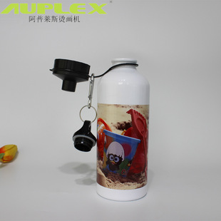 ���������\��ˮ�� ����������ˮ��DC�X��܊ˮ�� 500ML���Dӡˮ��