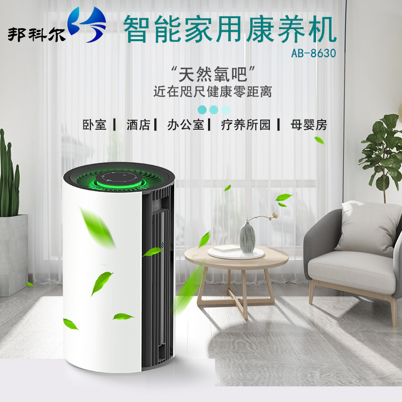 Health Care Negative Oxygen Ion Air Purifier, Smart Home Oxygen Bar, Smoke Removal, Formaldehyde Removal, Air Purification Factory Wholesale