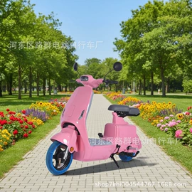 其他电动车;电动三轮车;电动代步车