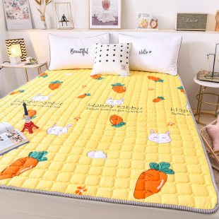 Four-Season Universal Machine Washable Thin Mattress Anti-Slip Protective Mat Single Student Dormitory Double Home Tatami Floor Mat