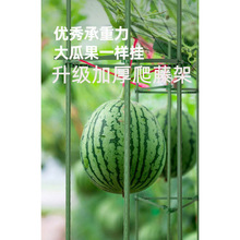 ����䓹��������ټ܈@ˇ����֧��ֲ���������҃����F��ɏ�����м�