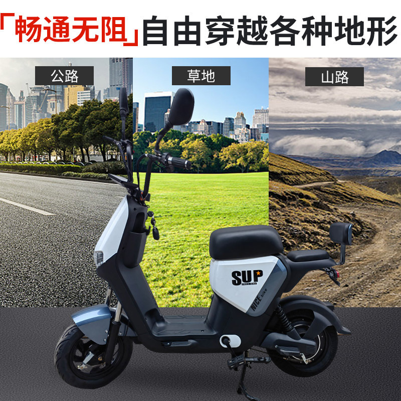 国境を越えた電気自動車の成人軽量小型電気自動車は2輪の世代のステップを減衰して航続する電動自転車の卸売りをします。|undefined