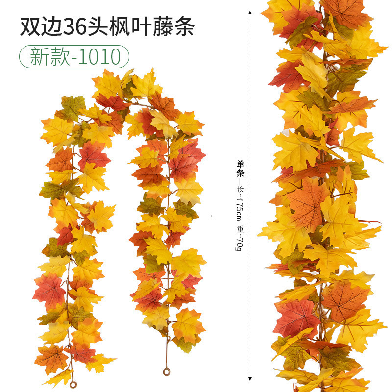 36 new model-1010