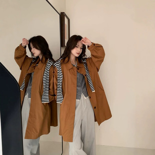 �߼����L������2026���¿��n��Ů�������L�����e����86337