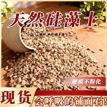 硬质硅藻土防虫蝴蝶兰透气生根多肉花卉拌土铺面种植专用颗粒