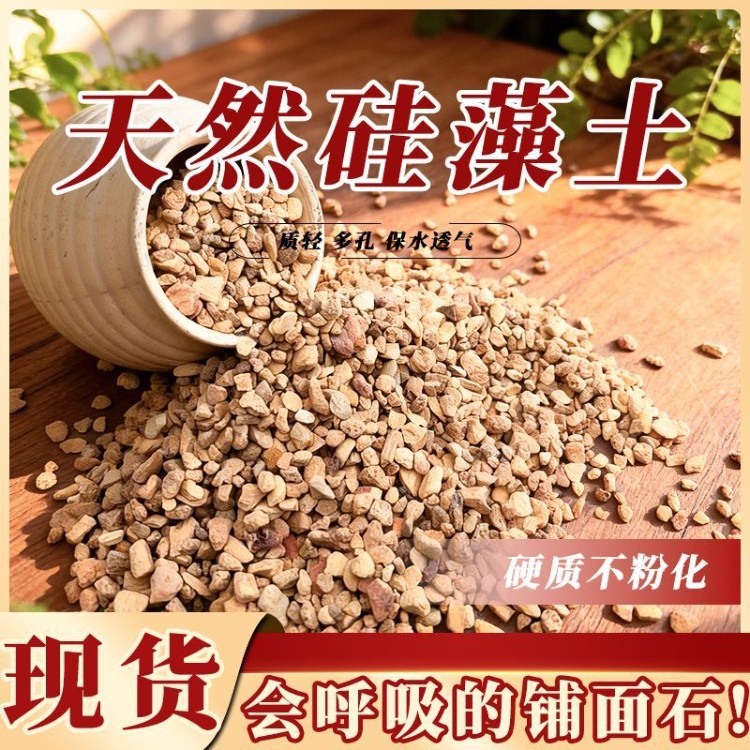 硬质硅藻土防虫蝴蝶兰透气生根多肉花卉拌土铺面种植专用颗粒