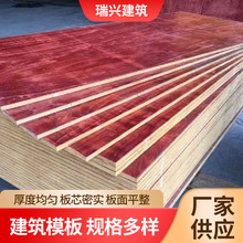临沂板材工程模板1830*915建筑多层板桥梁工程工地用中高层红模板