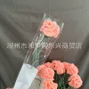 Carnation meat powder