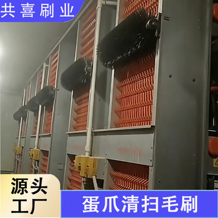 ��צ���ëˢ �B�u���쵰�C��ϴëˢ ���ʽ��צ����������S����