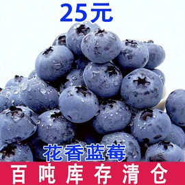 其他药食同源;花果茶;普洱茶