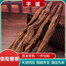 ișliƬ ɐؽiꖸɃos iꖷ