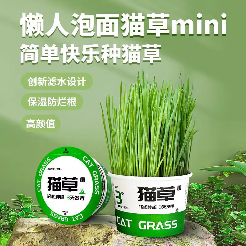 Cat Grass Planting, Cat Grass Potted Wheat Seeds, Hydroponic Box, Lazy Cat Grass Hair Ball, Kitten Snacks and Supplies