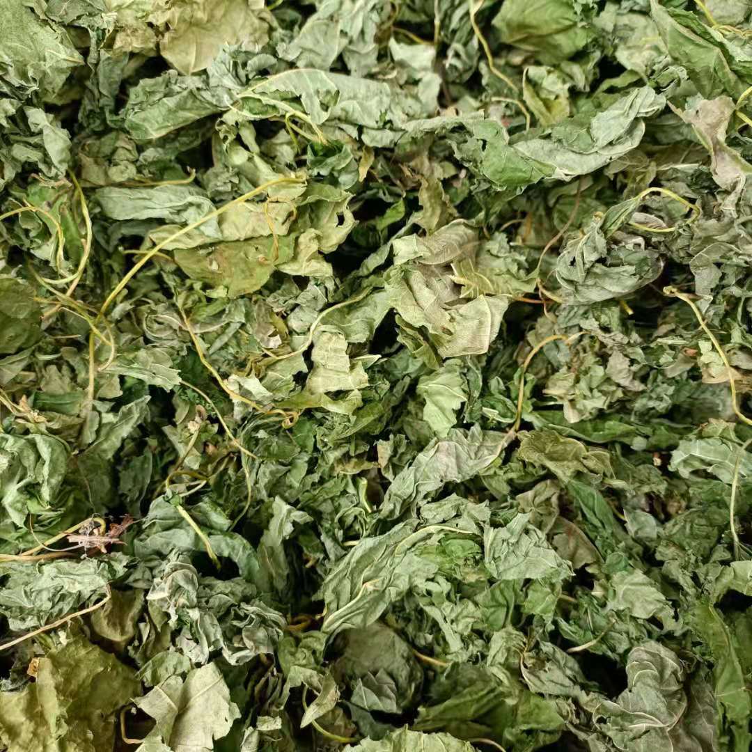 Bagged Filling Cat Grass Leaf Dry Powder Fun Catnip Toy_voghion.com
