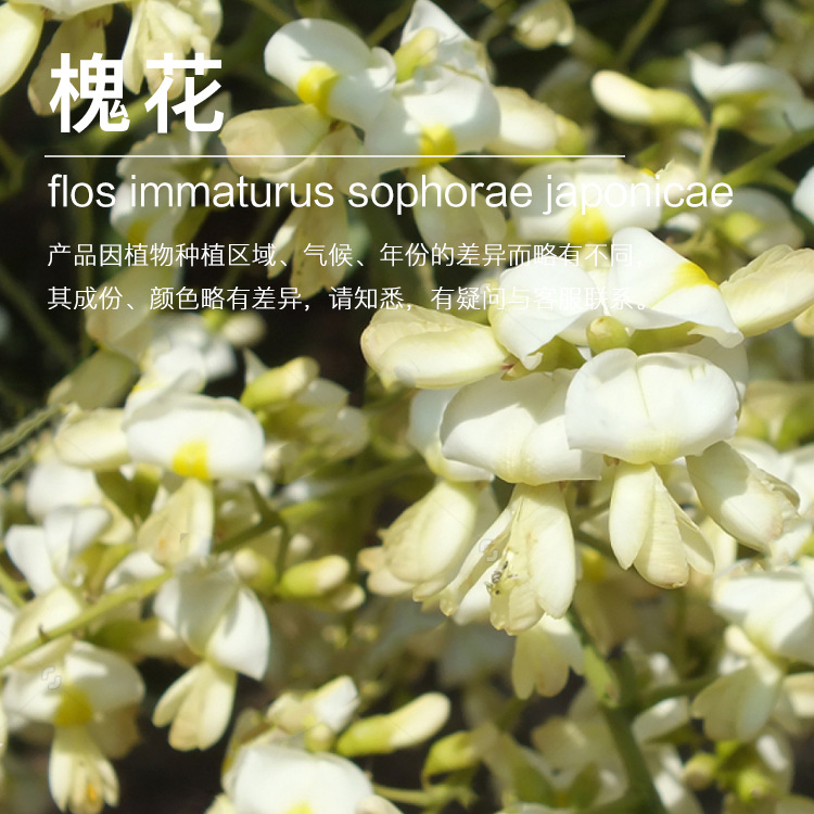 ���ҹ�Ӧ��������  ���ٽ���ȡ������ ֲ��������������ӭ�ɹ�