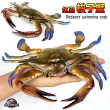 ���r�з����зģ��������z���Ĕ[��������ͯ�J֪�Y��