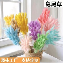 ��β�������ɻ�С���¹�β�Ͳ�diy�����Ӽ��b��Sֱ�N�羳���u