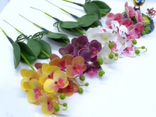 PU��������m��c�ٻ���Y�廨�ߙn�m���ҾӔ[���b��滨