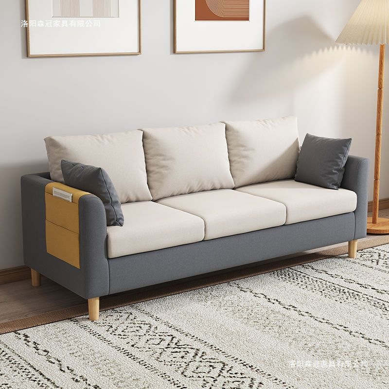 Nordic Small Apartment Sofa Modern Minimalist Internet Celebrity Single or Double Living Room Apartment Rental Bedroom Simple Small Sofa