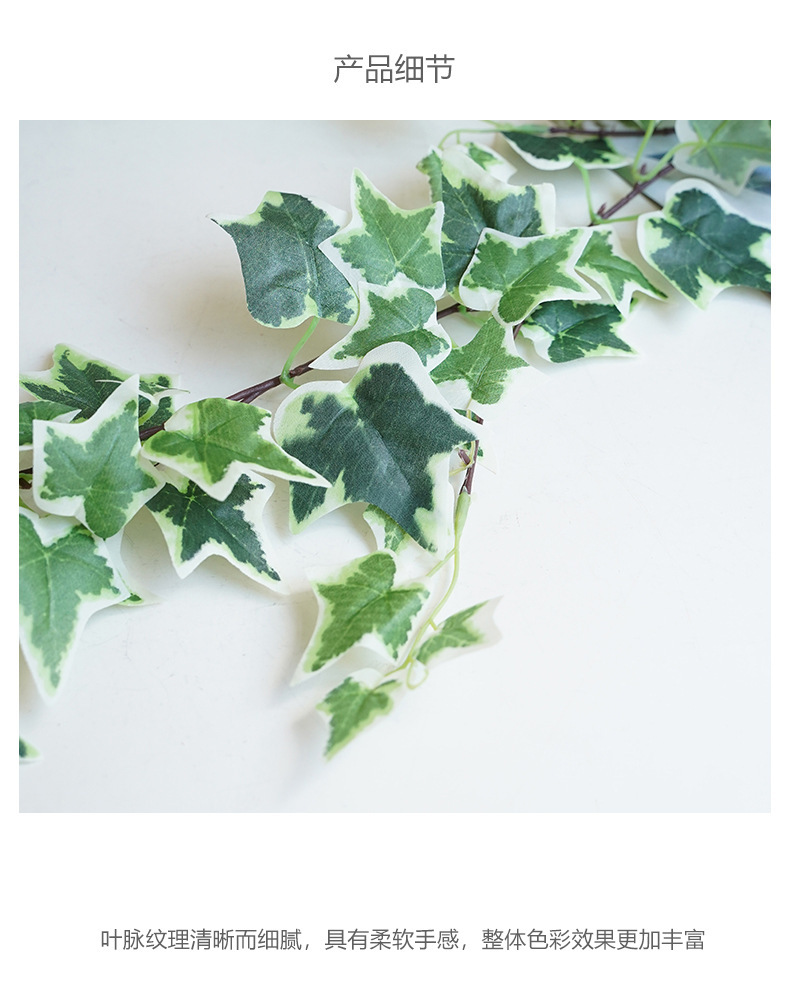 常春藤藤条系列_12.jpg