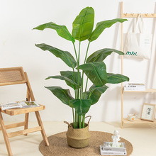 ���W�����L�������˽���ؔ[���͏d�b٘�S��ֱ�����滨�Gֲ