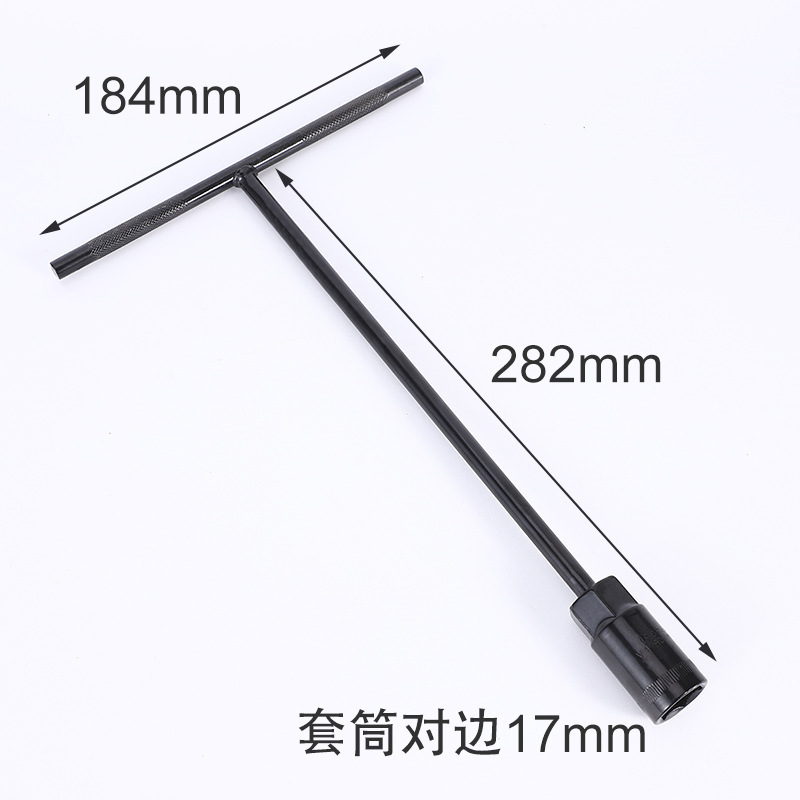 17(전기영동 T형)