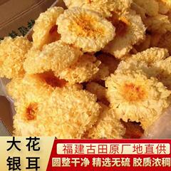 福建古田大花銀耳乾品は人工的に白木耳雪耳500gバラ産地の卸売りを添加していない