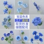 布置宝蓝色婚庆用花路引绢花