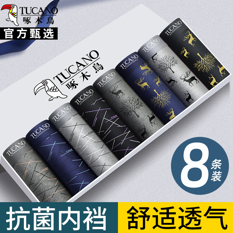 [항균 8팩] 962XT+975 엘크