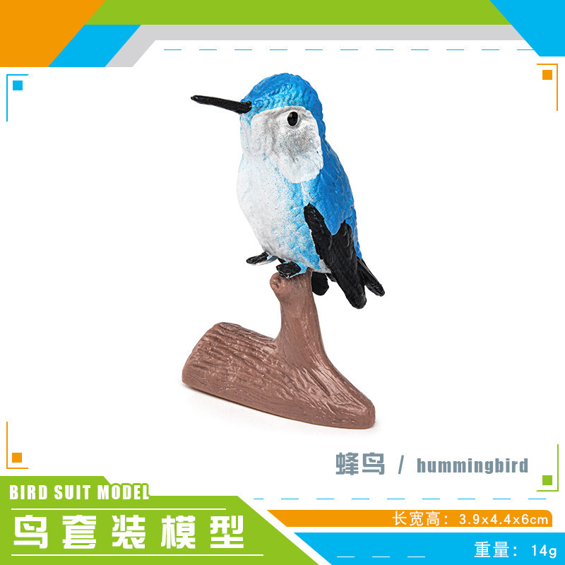 Simulación amazónica de pájaros hummingbirds, colibríes, pájaros, aves, animales, modelos de escritorio, juguetes decorativos estáticos