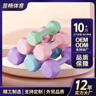 New Dumbbell Women's Fitness Home Equipment for Beginners to Train Arm Muscles and Lose Weight for Men, a Pair of Wholesale Cement Dumbbells