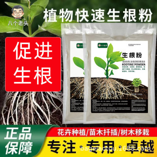 Quick Rooting Powder for Vegetables, Melons, Fruits and Florals, Universal Rooting and Seedling Transplanting Hydroponic Powerful Rooting Agent 1000g