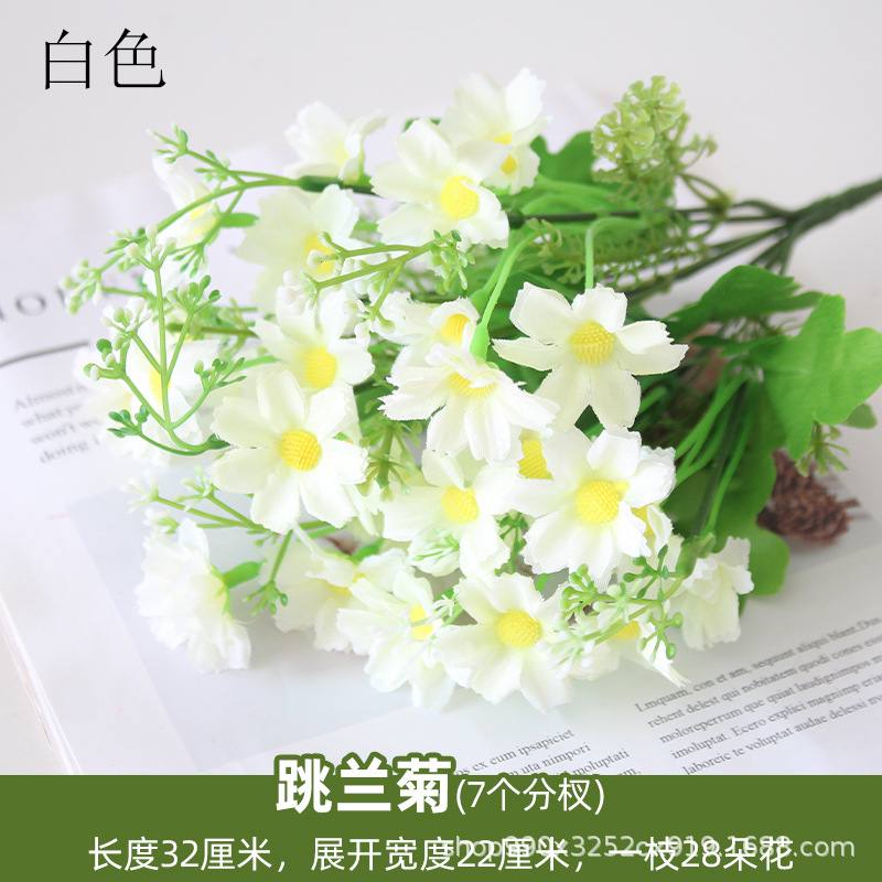 Jumbo crisantemo blanco