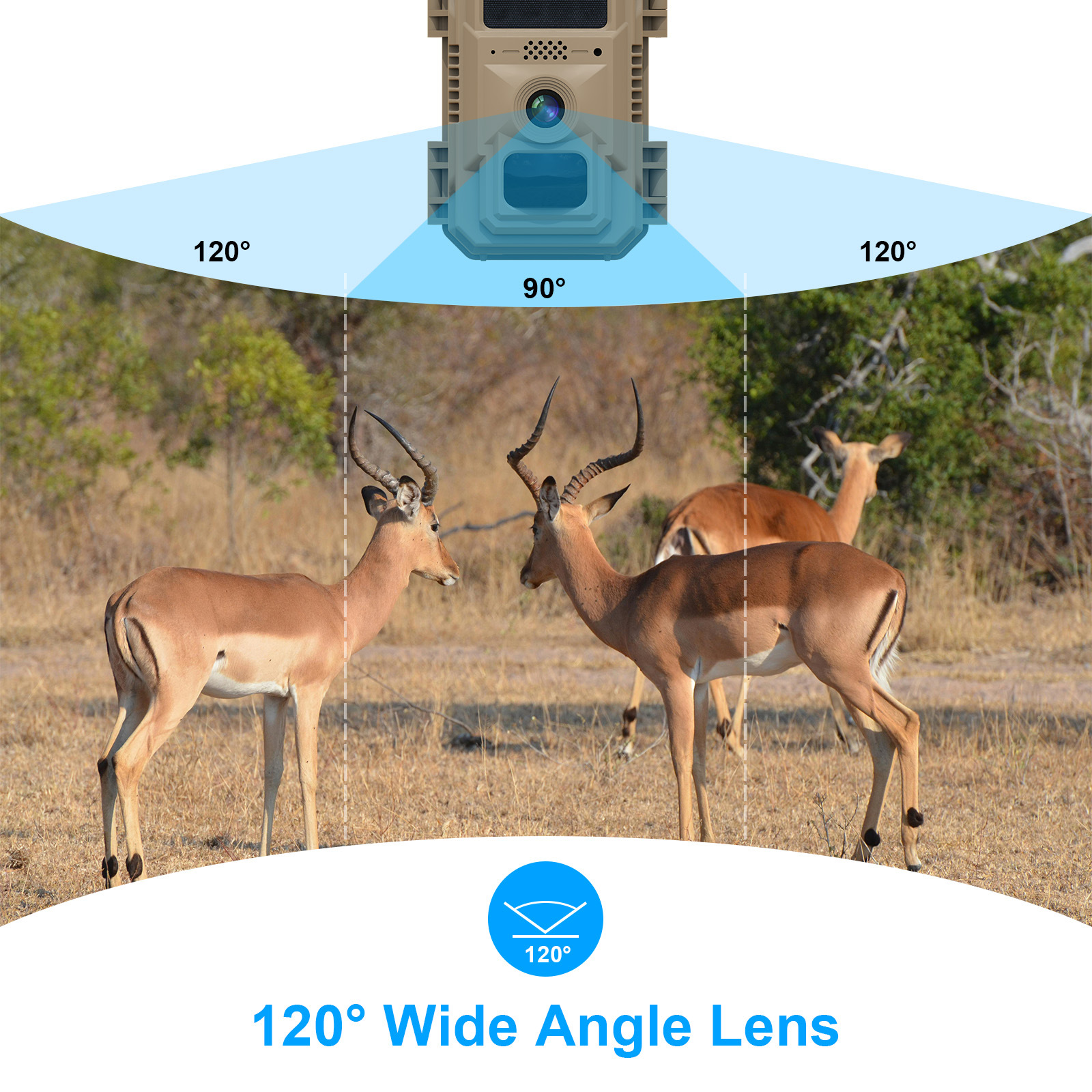 Fuente de la fábrica de campo 4G cámara impermeable transfronteriza explosiva AI reconocimiento de animales cámara de vigilancia solar HD