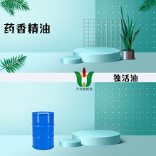 ��ș�㾫�͡��������ș�ͪ��ANGELICA PUBESCENS����ȡ��