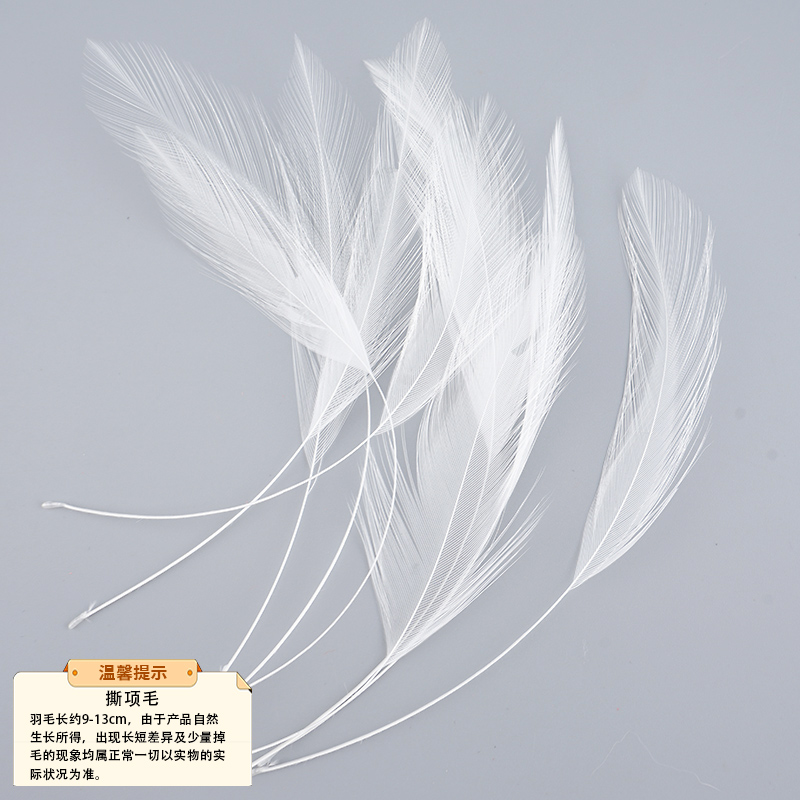 Plumas Decorativas Artesanales para Bodas y Manualidades DIY