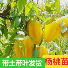 ���Ҙ����ļ�����ҹ����玧���l؛̨��������޽�ˮ����ͥԺ�̨