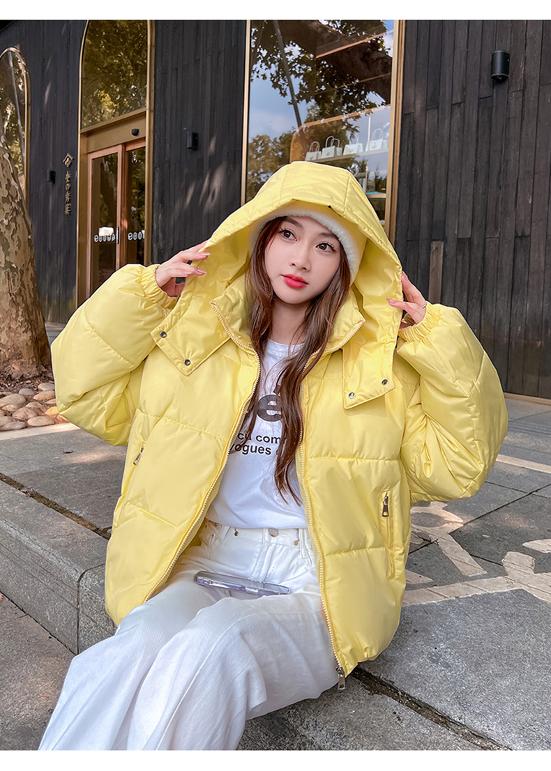 Piumino invernale in cotone 2023 nuova giacca in cotone da donna versione coreana giacca da studente corta con cappuccio per pane sciolto_voghion.com