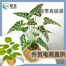 �羳����ֲ��12�^�������~�����҃ȿ͏d�Ҿ��쾰�bپGֲ���컨