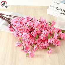 ���滨��С�@�־��^�M��֦����÷��֦��c�Ҿ��b�