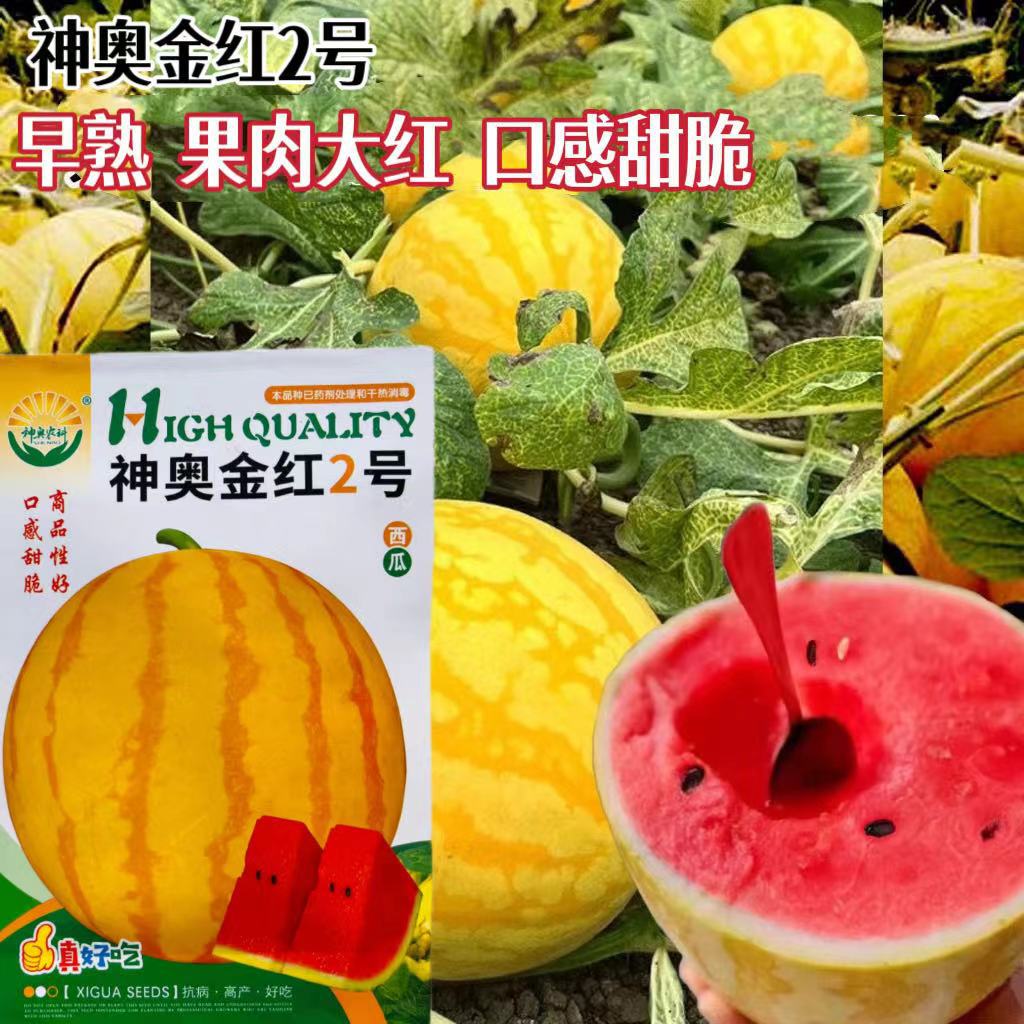 电商进货西瓜种子农田菜园蔬菜皮薄红瓤西瓜黄皮西瓜种子