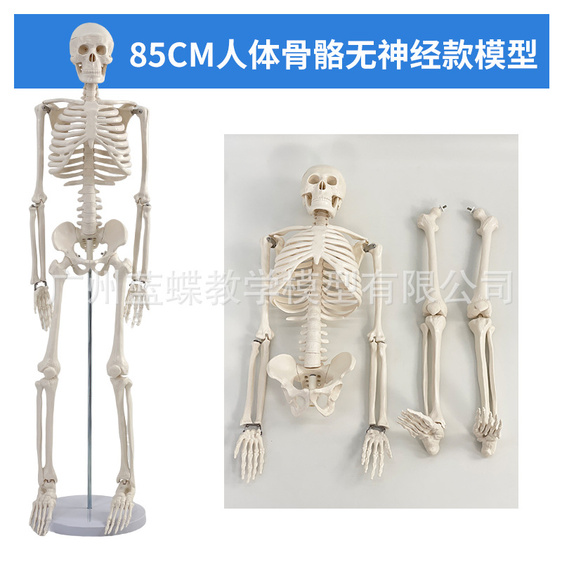 85CM���弡������ṹ�ʹ�ȫ���Ǽ�ģ�Ϳɲ�ж��׵�٤С������