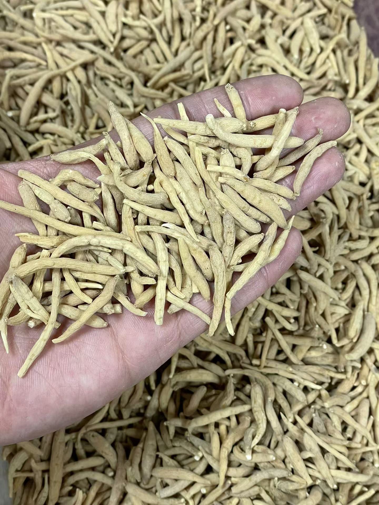 Dried Tai Zi Shen Root Slices Bulk 250g孩儿参 Large Grade Fujian Origin overview