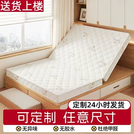 棕榈弹簧床垫;床垫、席梦思;铁艺/钢木床