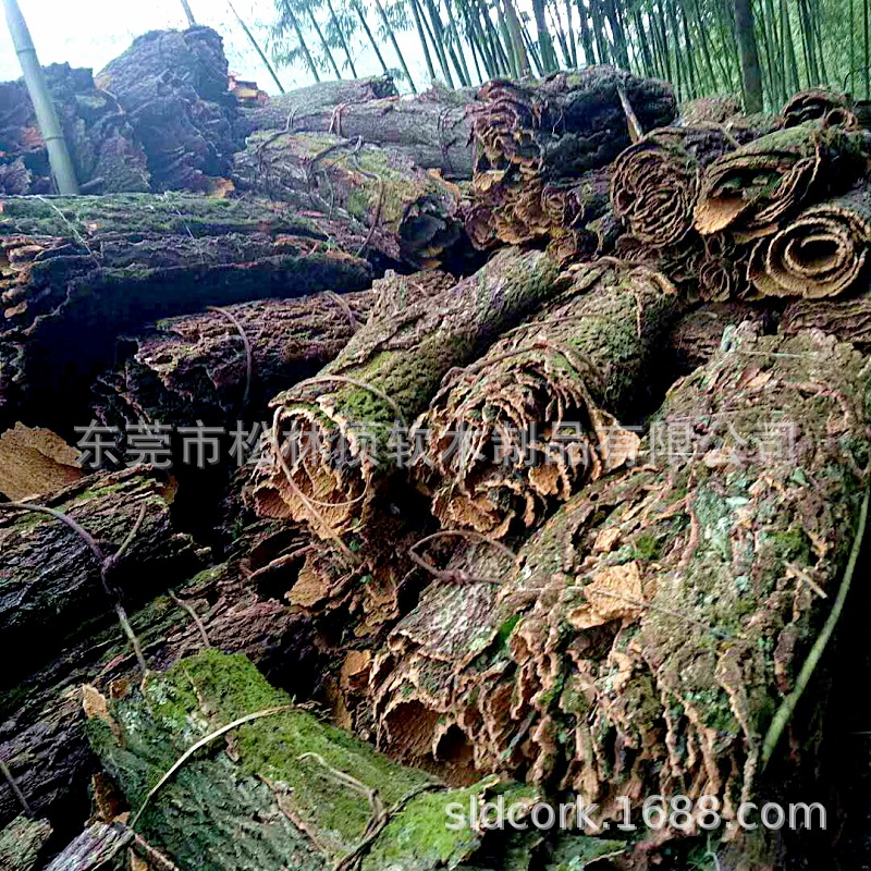 软木树皮