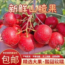 ���rɽ髹�ɽ����rɽ��r��ˮ��ɽ��t�Fɽ��Ǻ��Jɽ��r�����]