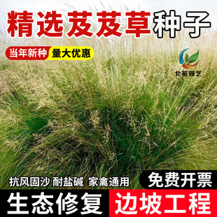 ܸܸ�ݷN�� ܸܸ�� ���ݷN�ѷe�C��ϯݽ�ݷN���ͺ����L��ɳ���}�|