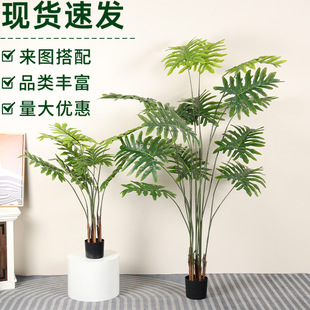 �߶˷���Gֲϲ����������Դ����҃������ֲ���쾰�M���b�