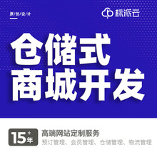 宜昌标派网站建设公司php代码编辑外贸网站视觉设计品牌网站制作