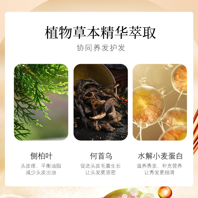 何首烏植物草本シャンプー養髪保護生姜脱シャンプー|undefined